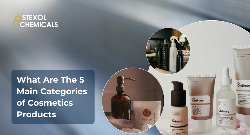 What Are The 5 Main Categories Of Cosmetic Products?