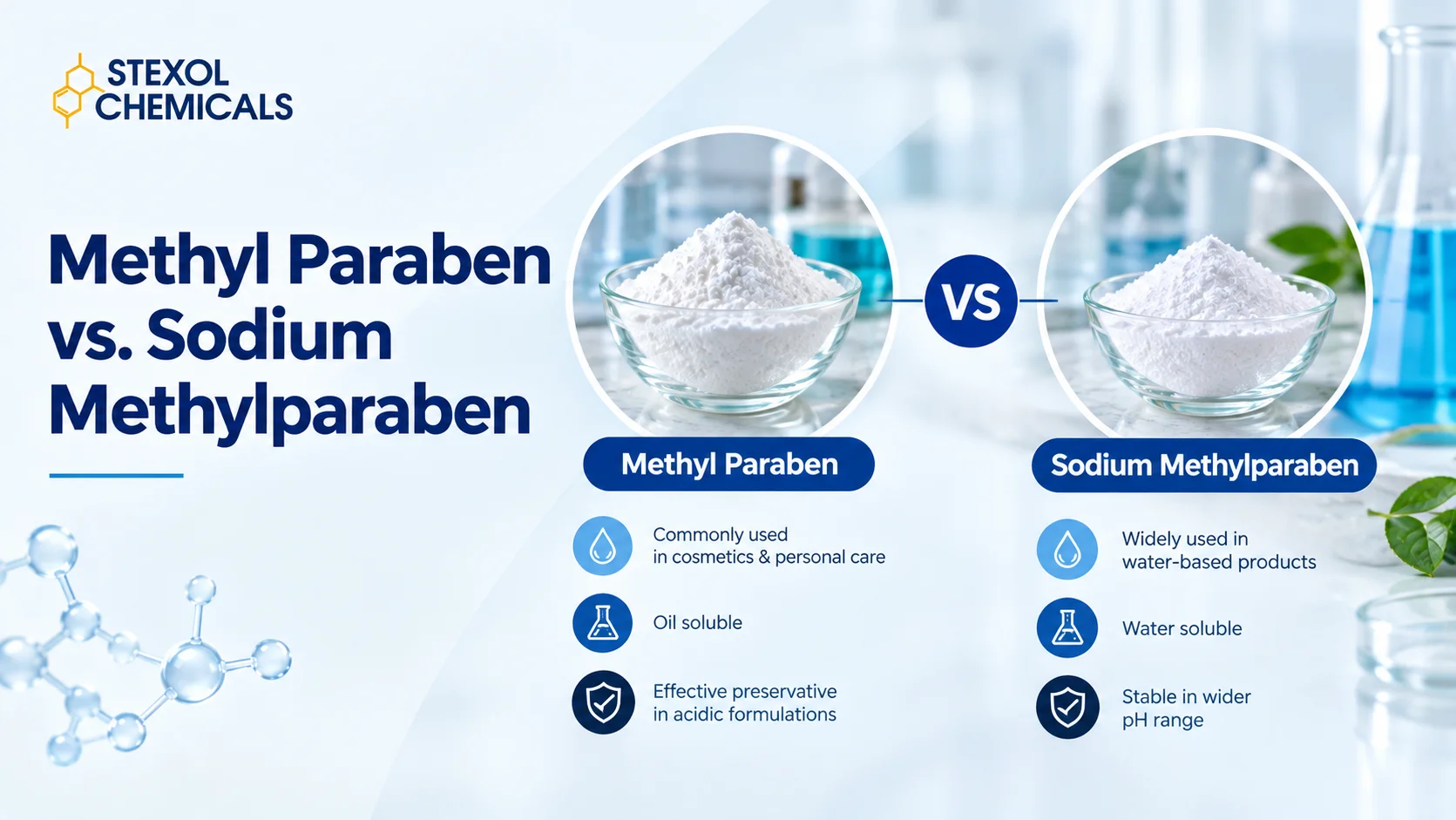 Methyl Paraben vs. Sodium Methylparaben – Uses, Solubility, and Differences